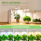 🔥Solange der Vorrat reicht 40 % Rabatt!🎉LED-Engelsring-Pflanzenwachstumslampe