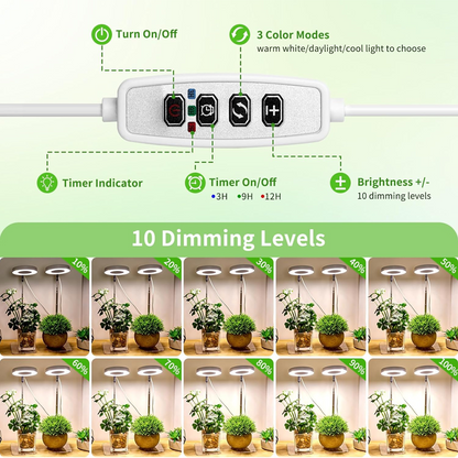 🔥Solange der Vorrat reicht 40 % Rabatt!🎉LED-Engelsring-Pflanzenwachstumslampe