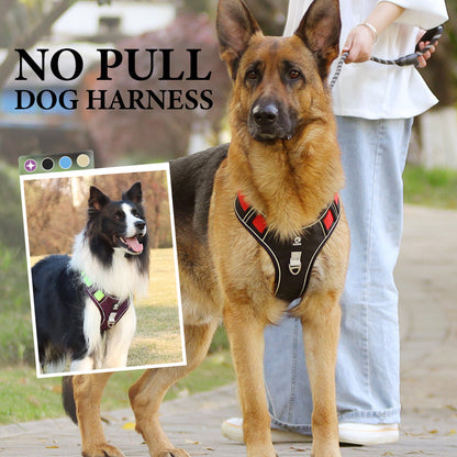📢📢40 % RABATT !! ⏰Hundegeschirr ohne Zugkraft mit Leine und Halsband mit LED