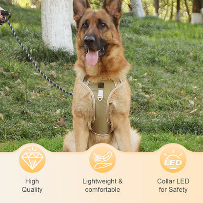 📢📢40 % RABATT !! ⏰Hundegeschirr ohne Zugkraft mit Leine und Halsband mit LED