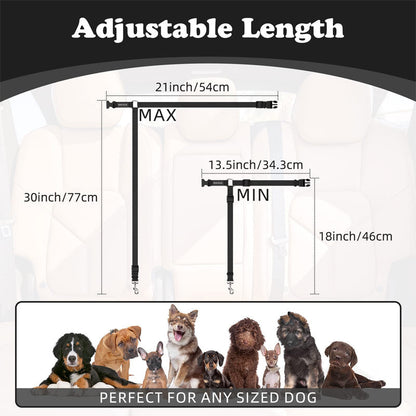 🐕🦺 Sicherheitsgurt & Leine 2-in-1 – Auto, Zug, Spazieren 🐾🐕 verstellbar, reflektierend, crashgetestet – für ruhige & aktive Hunde – JETZT sparen!