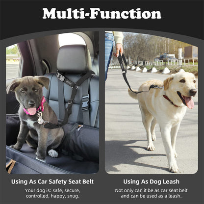 🐕🦺 Sicherheitsgurt & Leine 2-in-1 – Auto, Zug, Spazieren 🐾🐕 verstellbar, reflektierend, crashgetestet – für ruhige & aktive Hunde – JETZT sparen!