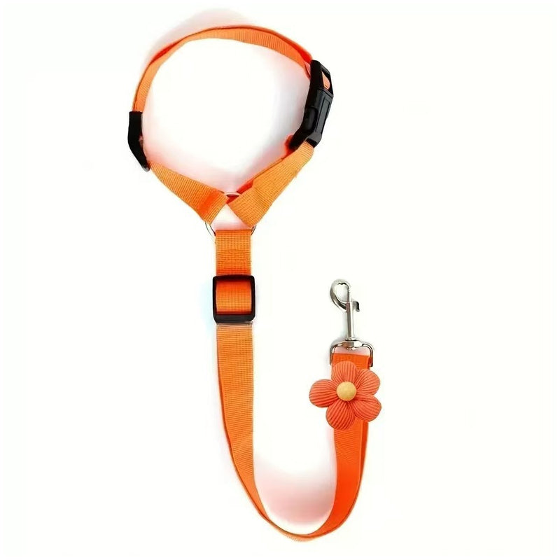 🐕🦺 Sicherheitsgurt & Leine 2-in-1 – Auto, Zug, Spazieren 🐾🐕 verstellbar, reflektierend, crashgetestet – für ruhige & aktive Hunde – JETZT sparen!