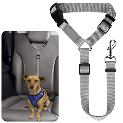 🐕🦺 Sicherheitsgurt & Leine 2-in-1 – Auto, Zug, Spazieren 🐾🐕 verstellbar, reflektierend, crashgetestet – für ruhige & aktive Hunde – JETZT sparen!