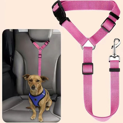 🐕🦺 Sicherheitsgurt & Leine 2-in-1 – Auto, Zug, Spazieren 🐾🐕 verstellbar, reflektierend, crashgetestet – für ruhige & aktive Hunde – JETZT sparen!