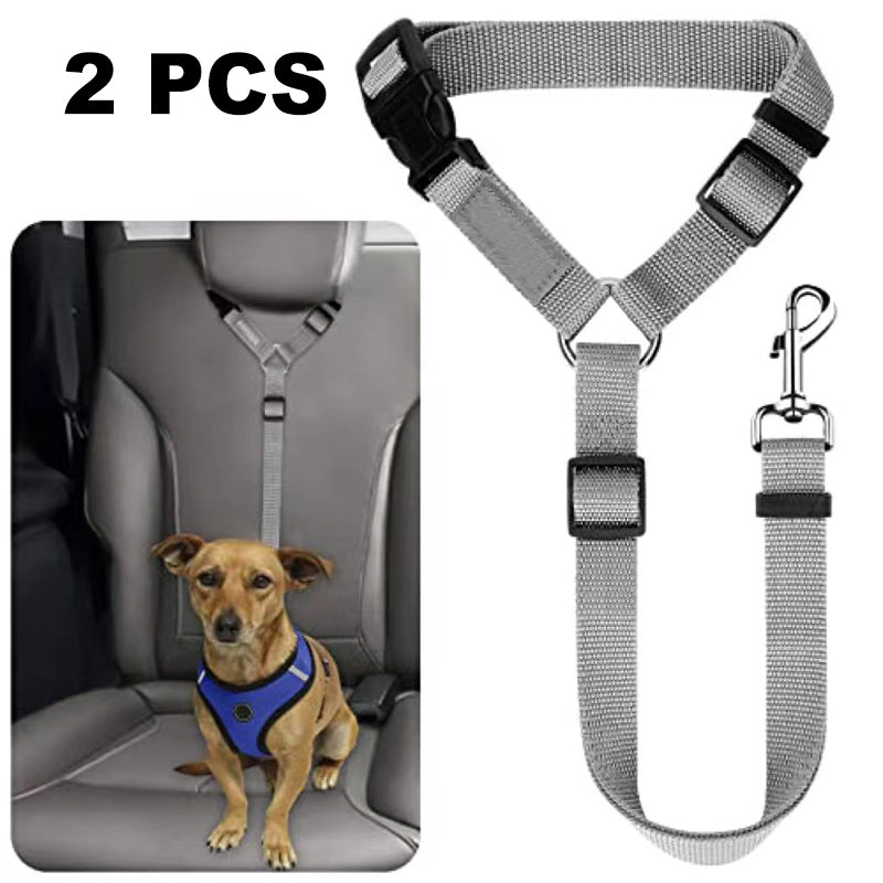 🐕🦺 Sicherheitsgurt & Leine 2-in-1 – Auto, Zug, Spazieren 🐾🐕 verstellbar, reflektierend, crashgetestet – für ruhige & aktive Hunde – JETZT sparen!