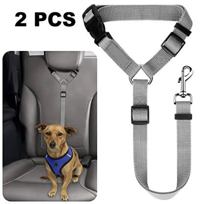 🐕🦺 Sicherheitsgurt & Leine 2-in-1 – Auto, Zug, Spazieren 🐾🐕 verstellbar, reflektierend, crashgetestet – für ruhige & aktive Hunde – JETZT sparen!