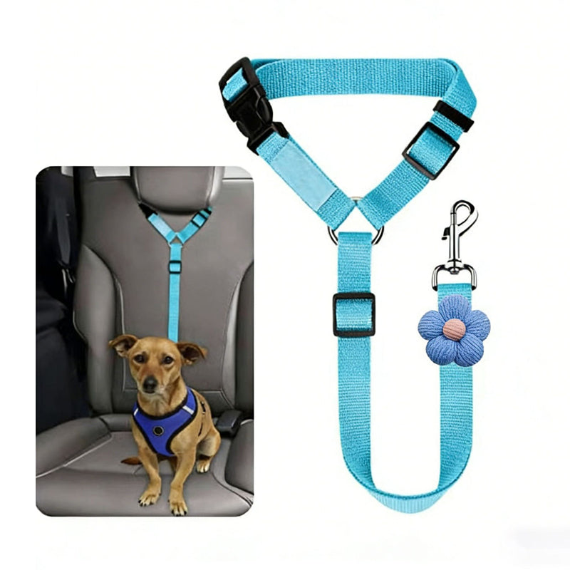 🐕🦺 Sicherheitsgurt & Leine 2-in-1 – Auto, Zug, Spazieren 🐾🐕 verstellbar, reflektierend, crashgetestet – für ruhige & aktive Hunde – JETZT sparen!