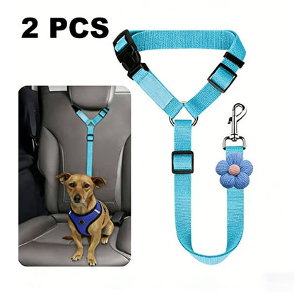 🐕🦺 Sicherheitsgurt & Leine 2-in-1 – Auto, Zug, Spazieren 🐾🐕 verstellbar, reflektierend, crashgetestet – für ruhige & aktive Hunde – JETZT sparen!