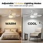 🔥Solange der Vorrat reicht: 40 % Rabatt!🎉2-in-1-LED-Deckenventilator mit Kühlfunktion