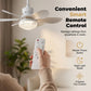 🔥Solange der Vorrat reicht: 40 % Rabatt!🎉2-in-1-LED-Deckenventilator mit Kühlfunktion