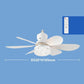 🔥Solange der Vorrat reicht: 40 % Rabatt!🎉2-in-1-LED-Deckenventilator mit Kühlfunktion