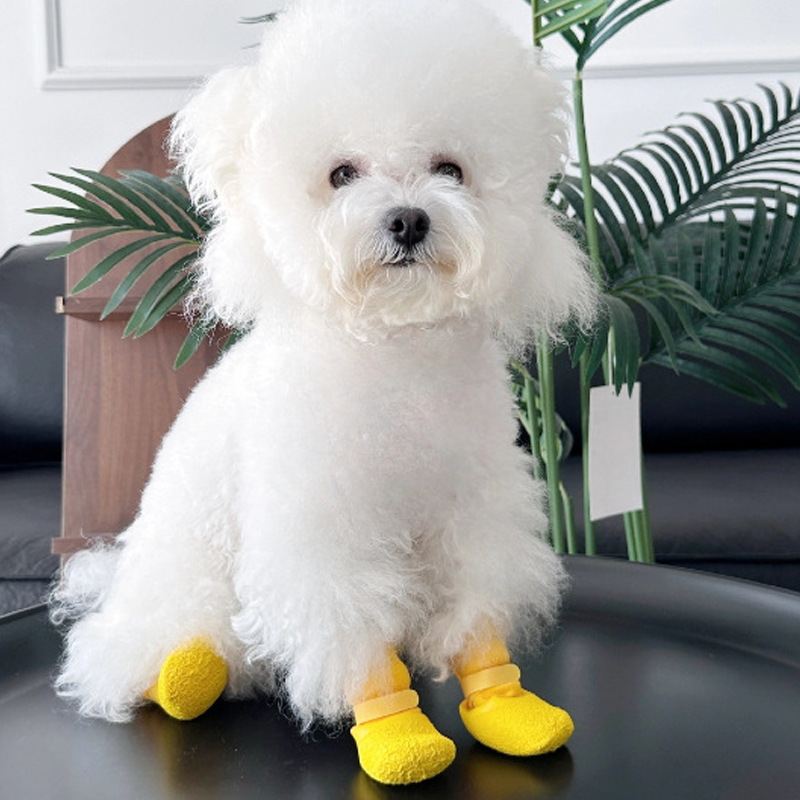 📢📢 50 % SOFORT-RABATT + Ab nur 5,99 €!! ⏰🐾 Rutschfeste, wasserdichte Pfotensocken für Haustiere 👟