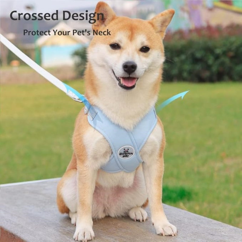 🥳HEISSER SALE 2026🥳💞50.000+ VERKAUFT!👵  X-förmiges Anti-Zug-Hundegeschirr-Set mit Leine