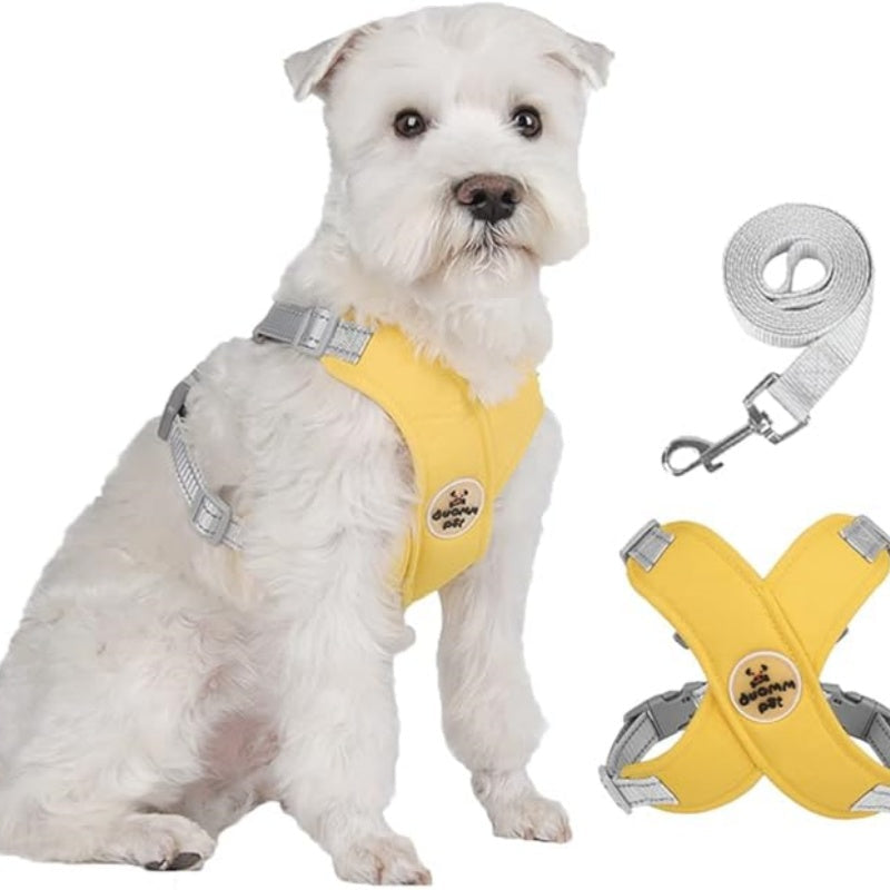 🥳HEISSER SALE 2026🥳💞50.000+ VERKAUFT!👵  X-förmiges Anti-Zug-Hundegeschirr-Set mit Leine