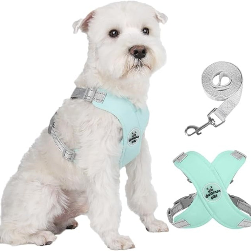 🥳HEISSER SALE 2026🥳💞50.000+ VERKAUFT!👵  X-förmiges Anti-Zug-Hundegeschirr-Set mit Leine