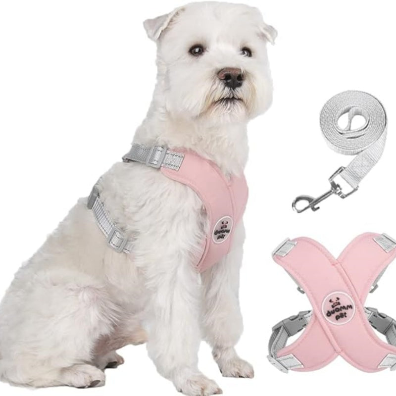 🥳HEISSER SALE 2026🥳💞50.000+ VERKAUFT!👵  X-förmiges Anti-Zug-Hundegeschirr-Set mit Leine