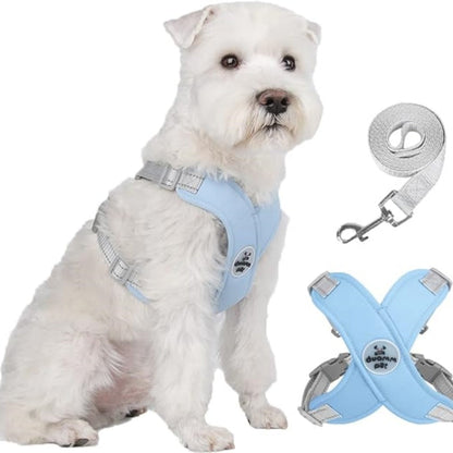🥳HEISSER SALE 2026🥳💞50.000+ VERKAUFT!👵  X-förmiges Anti-Zug-Hundegeschirr-Set mit Leine