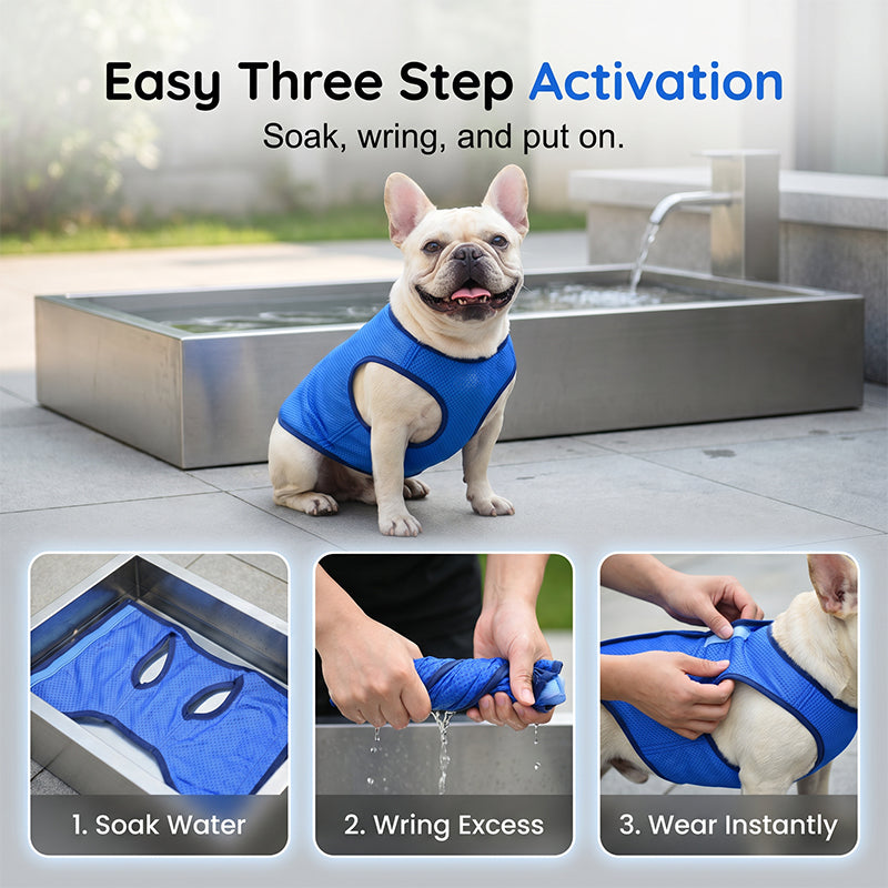 🐶 ZEITLICH BEGRENZT 50% RABATT! ✨ Kühlweste für Hunde – Atmungsaktives Mesh, Hitzeschutz, Aktive Haustiere 🌊