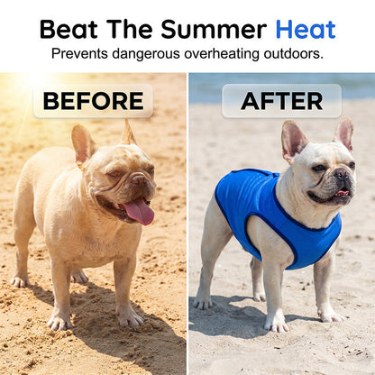 🐶 ZEITLICH BEGRENZT 50% RABATT! ✨ Kühlweste für Hunde – Atmungsaktives Mesh, Hitzeschutz, Aktive Haustiere 🌊