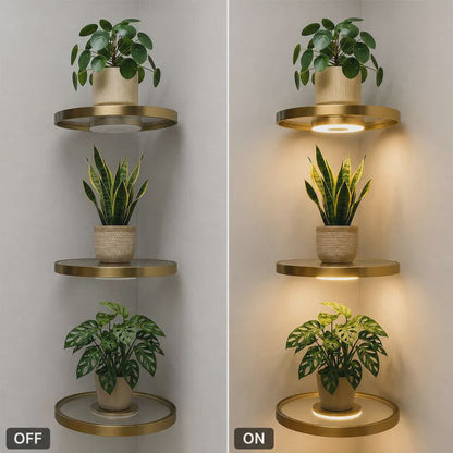 🍀BEFRISTET 50% RABATT! ✨Schwebendes Wandregal mit integriertem Ambiente-LED-Licht