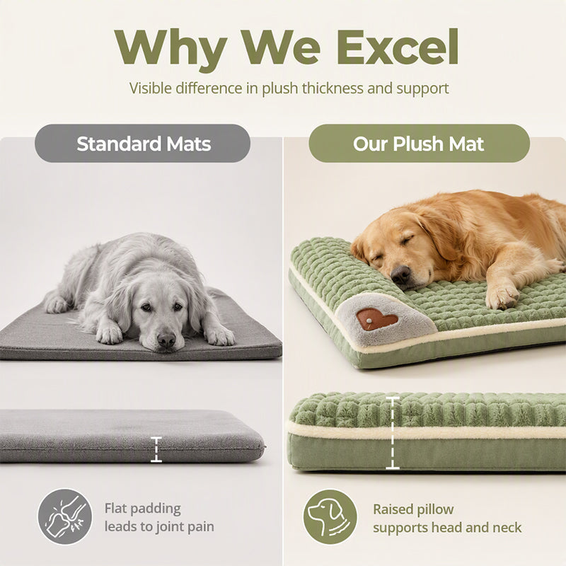 🛍️ 50 % Rabatt – Gepolsterte, waschbare Hundematte – weich, warm & vielseitig für Hunde & Katzen – ideal für alle Jahreszeiten 🐾