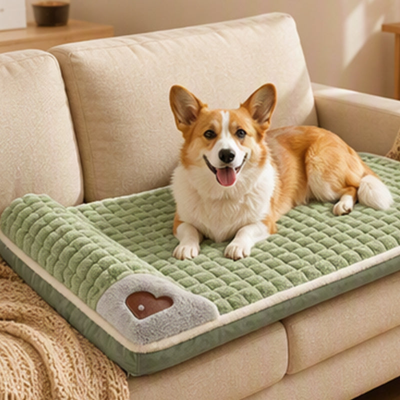🛍️ 50 % Rabatt – Gepolsterte, waschbare Hundematte – weich, warm & vielseitig für Hunde & Katzen – ideal für alle Jahreszeiten 🐾