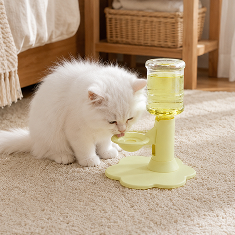 🐱 50% RABATT! 💧 Katzenwasserbrunnen mit verstellbarer Halswirbelsäule – 3-stufig höhenverstellbar, rutschfest & automatische Nachfüllung – Für gesundes Trinken & mehr Komfort ✨