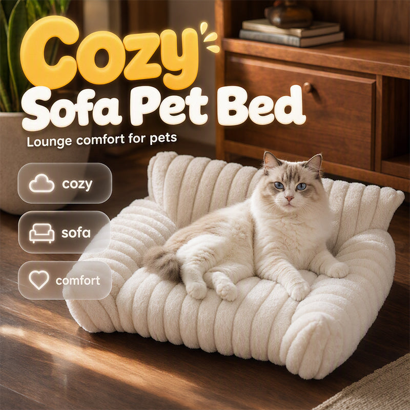 🐾 50% RABATT! ☁️ Gemütliches Sofa-Haustierbett, weiche Polsterung, rutschfester Boden, perfekt für Katzen und Hunde🛋️✨