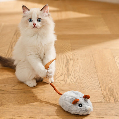 🐱50 % RABATT✨ Intelligente elektrische Spielzeugmaus für Katzen, beweglich, weckt den Jagdtrieb Ihrer Katze