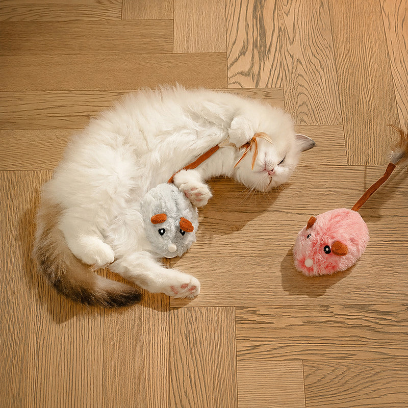 🐱50 % RABATT✨ Intelligente elektrische Spielzeugmaus für Katzen, beweglich, weckt den Jagdtrieb Ihrer Katze