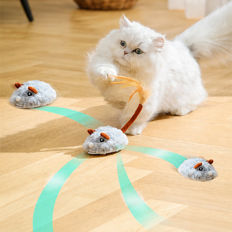 🐱50 % RABATT✨ Intelligente elektrische Spielzeugmaus für Katzen, beweglich, weckt den Jagdtrieb Ihrer Katze