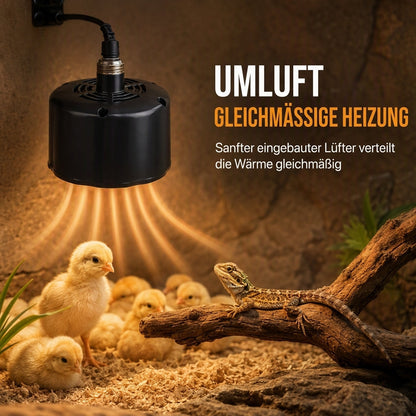 🐥 50% RABATT! 🌡️  Intelligente Wärmelampe mit Temperaturregelung für Küken & Kleintiere