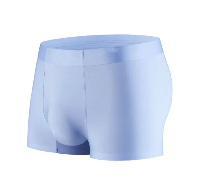 🎁Vente chaude 2024🎁Sous-vêtements respirants en soie glacée pour hommes
